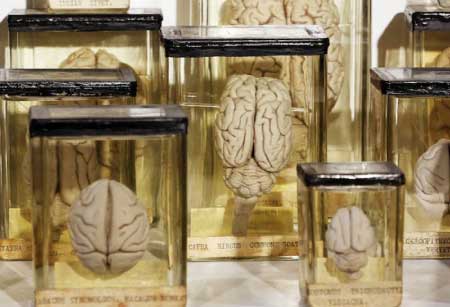 جريدة الحقيقة