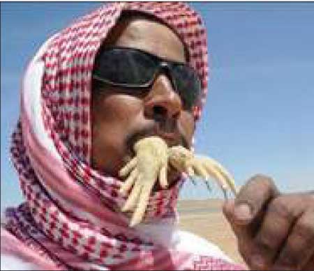 جريدة الحقيقة