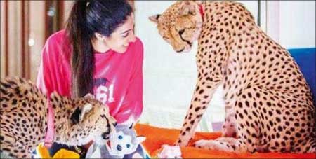 جريدة الحقيقة