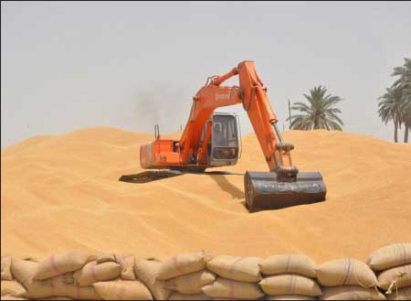 جريدة الحقيقة