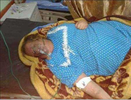 جريدة الحقيقة