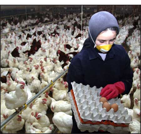 جريدة الحقيقة