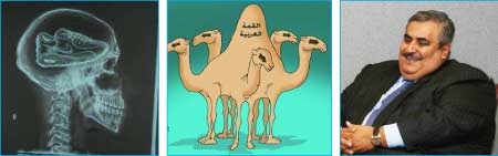 جريدة الحقيقة