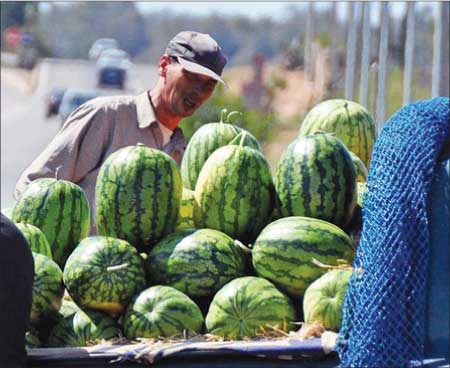 جريدة الحقيقة