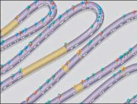 جريدة الحقيقة