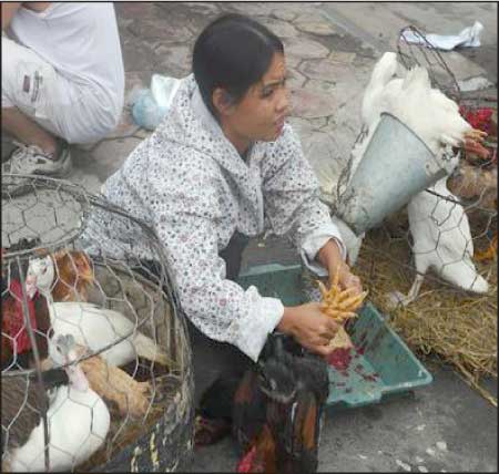 جريدة الحقيقة