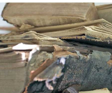 جريدة الحقيقة