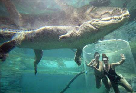 جريدة الحقيقة