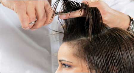 جريدة الحقيقة