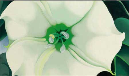 جريدة الحقيقة