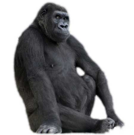 جريدة الحقيقة