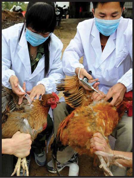 جريدة الحقيقة