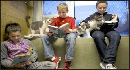 جريدة الحقيقة