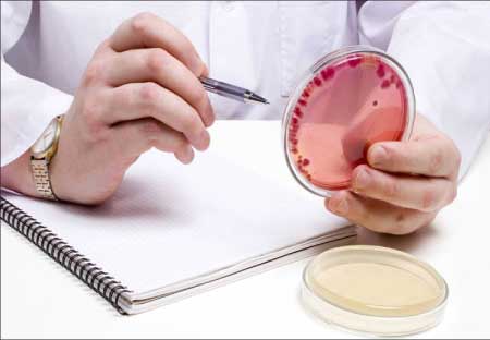 جريدة الحقيقة