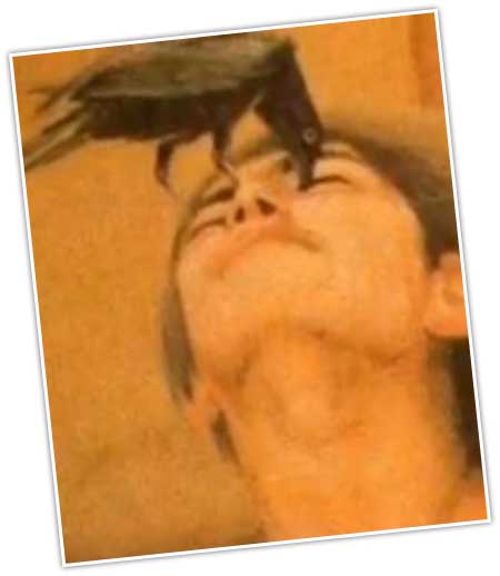 جريدة الحقيقة