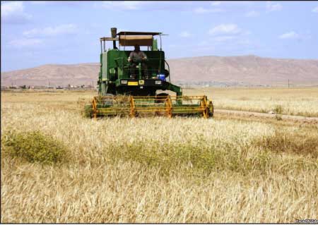 جريدة الحقيقة