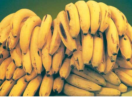 جريدة الحقيقة