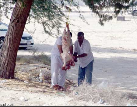 جريدة الحقيقة