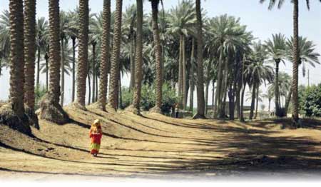 جريدة الحقيقة