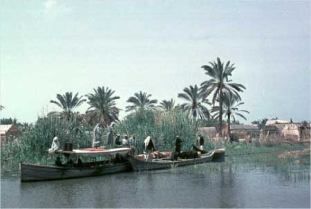 جريدة الحقيقة