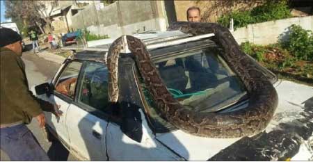 جريدة الحقيقة