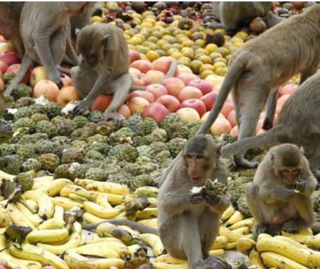 جريدة الحقيقة