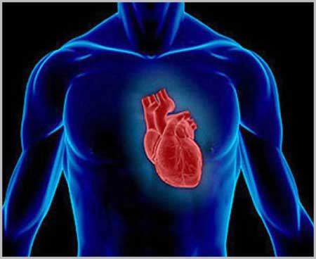 جريدة الحقيقة