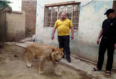 جريدة الحقيقة