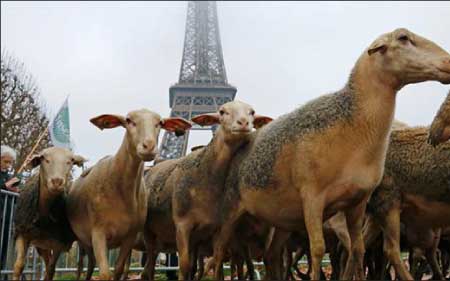 جريدة الحقيقة