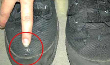 جريدة الحقيقة