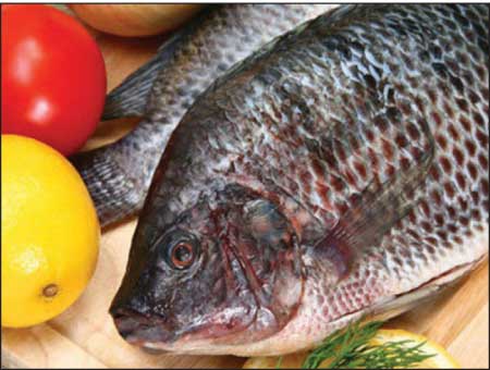 جريدة الحقيقة