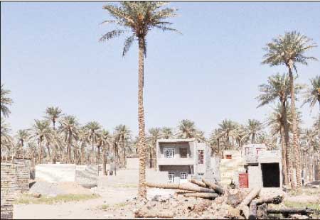 جريدة الحقيقة