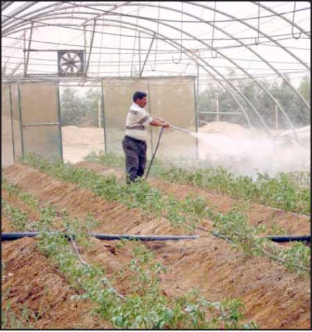 جريدة الحقيقة