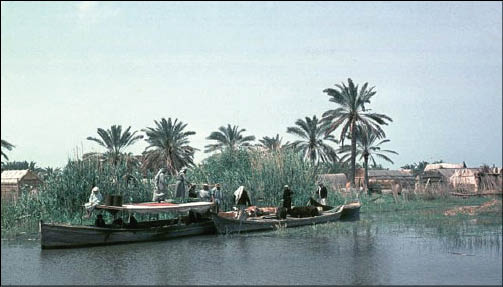 جريدة الحقيقة