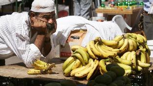 جريدة الحقيقة