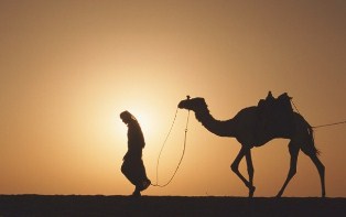 جريدة الحقيقة