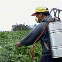 جريدة الحقيقة