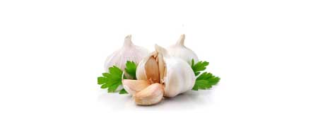 جريدة الحقيقة