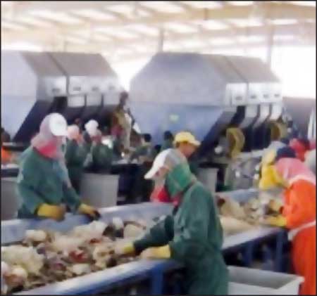 جريدة الحقيقة