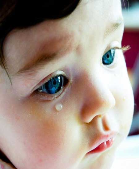 جريدة الحقيقة