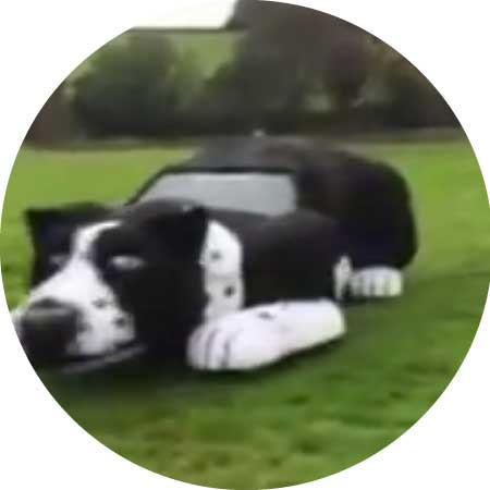 جريدة الحقيقة