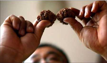 جريدة الحقيقة