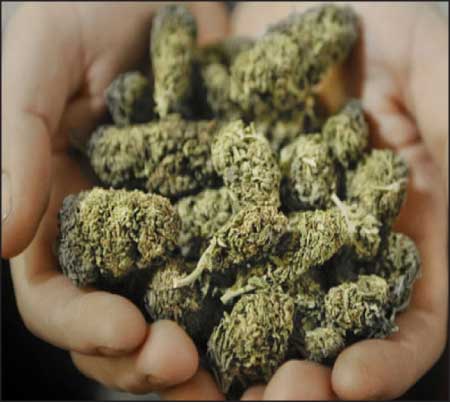 جريدة الحقيقة