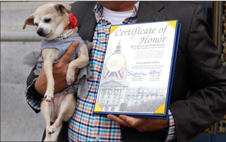 جريدة الحقيقة