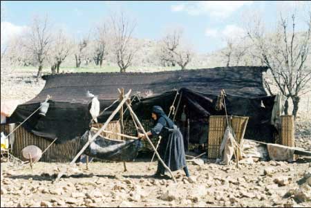 جريدة الحقيقة