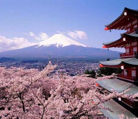 جريدة الحقيقة