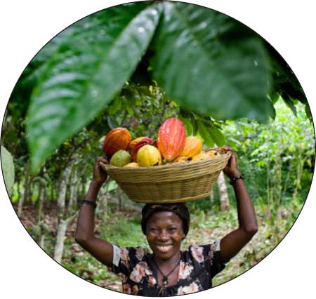 جريدة الحقيقة