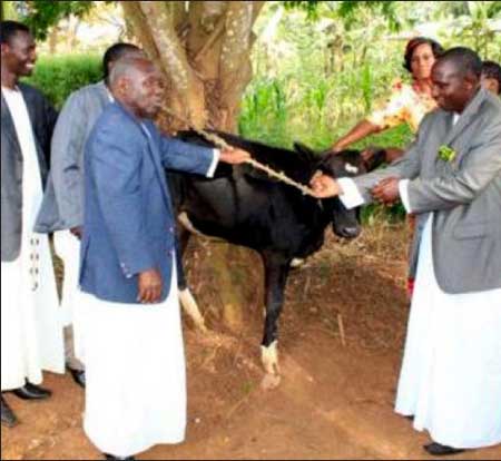 جريدة الحقيقة