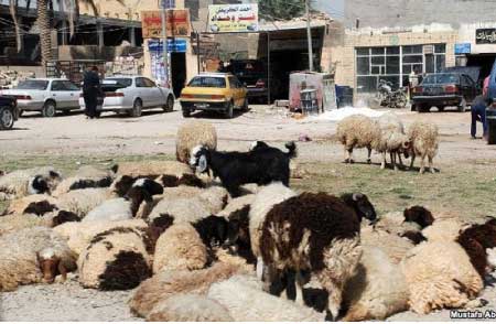 جريدة الحقيقة