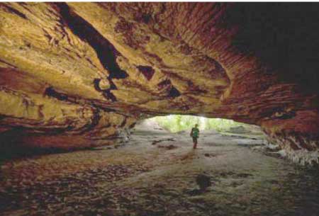 جريدة الحقيقة